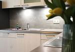 Küche / Küchenzeile - Bernstein Suite & Breakfast Apartment 02 - Top-Hundeurlaub