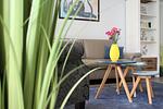 Wohnzimmer - Bernstein Suite & Breakfast Apartment 03 - Top-Hundeurlaub