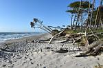 Ferienwohnung Strandrose Zingst – Der wilde Weststrand & urwüchsige Naturkulisse auf dem Darß - Strandrose - Top-Hundeurlaub