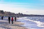 Ferienwohnung Strandrose Zingst – Spaziergänge am Ostseestrand bei frischer Meeresbrise genießen - Strandrose - Top-Hundeurlaub