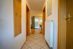 Dekoratives Detail - Felber - Top-Hundeurlaub