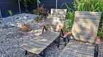 Garten - Ferienhaus Strandschnecke - Top-Hundeurlaub