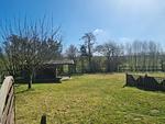 Ferienhaus Leuchtqualle - Top-Hundeurlaub