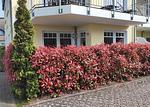 Aussenansicht mit Sichtschutz zur Terrasse - Villa Strandnah WE 01 "Nautica" - Top-Hundeurlaub