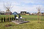 Terrasse - Reetdachhaus WE 01 "Huus Marga" - Top-Hundeurlaub