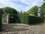 Eingangstor - Ferienhaus Wichmannsdorf "Birgmichfrieda" - Top-Hundeurlaub