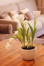 Dekoratives Detail - Haus Pamir WE 16 "Lütt Matten" - Top-Hundeurlaub