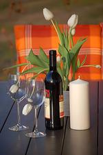 Dekoratives Detail - Haus Pamir WE 16 "Lütt Matten" - Top-Hundeurlaub