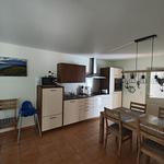 Küche / Küchenzeile - Villa Strandnah WE 03 "Sonnentraum" - Top-Hundeurlaub