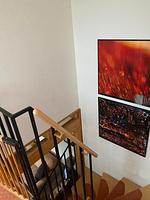 Ferienpark Seepferdchen, Haus Hiddensee 13d - Top-Hundeurlaub