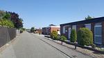 Ferienhaus Kegelrobbe - Top-Hundeurlaub