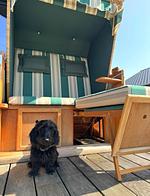 Haus Seehund - Top-Hundeurlaub