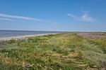 Fewo Seeschwalbe A - Top-Hundeurlaub