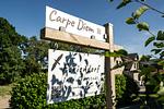 Haus Carpe Diem - Top-Hundeurlaub