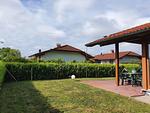 Haus Vier-Pfoten - Top-Hundeurlaub