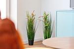 Wohnzimmer - Apartment am Deich 02 - Top-Hundeurlaub