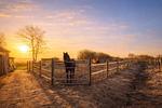 Landschaft - Heverhus - Top-Hundeurlaub