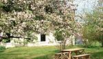Gartenblick - Heverhus - Top-Hundeurlaub