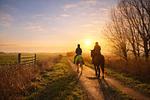 Landschaft - Heverhus - Top-Hundeurlaub