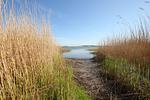 Landschaft - Haus: Terrasse,Garten,amWasser - Top-Hundeurlaub