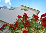 Garten - Apartment Bergblick 7/6 OG mit Balkon - Top-Hundeurlaub
