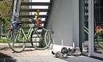 Garten - Apartment 7/7 EG barrierefrei - überdachte Terrasse - Top-Hundeurlaub