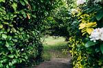 Gartenblick - A- Fördeblick - Top-Hundeurlaub