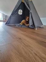 Ein Spielzelt mit einem Plüschtier innerhalb. - Ferienhaus Brandungsperle - Top-Hundeurlaub