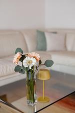 ABC Wohnung D**** - Top-Hundeurlaub