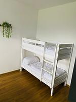 Ostfriesische Herrlichkeit 1 - Top-Hundeurlaub