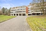 Hauptansicht - Ferienwohnung Cataleya Schönberg - Holm - Top-Hundeurlaub