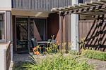Terrasse - Zwei-Zimmer-Apartment 53/05 - Top-Hundeurlaub