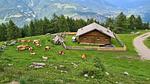 Ferienhaus für 10 Personen (130 m²) in Oberpirkach - Top-Hundeurlaub
