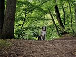 Hunde erlaubt - Diemelblick 37 - Top-Hundeurlaub