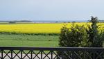 Bauernhaus 3 -Vaest- - Top-Hundeurlaub