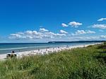 Strand - Dünenresidenz Prora 109 - Top-Hundeurlaub