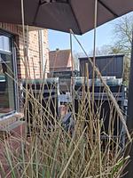 Terrasse - Friesentraum - Top-Hundeurlaub