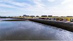 Landschaft - Ferienwohnung TheViewC12 Feer Luk Dagebüll - Top-Hundeurlaub