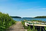Nachbarschaft - Ferienhaus LEE - Vogteihof am Bodden - Top-Hundeurlaub