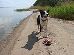 Kathleen - Top-Hundeurlaub