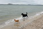 Kathleen - Top-Hundeurlaub