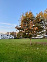 Hauptansicht - "Lieblingsplatz" App. 27 inkl. WLAN - Top-Hundeurlaub