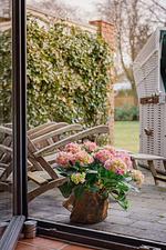 Sylter Meerlicht - Top-Hundeurlaub