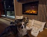 Chalet First Line Erste Reihe mit Zaun Haus Nr. 214 - Top-Hundeurlaub