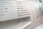 Dekoratives Detail - PelicanBay - Top-Hundeurlaub