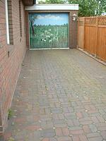 Deichläufer - Top-Hundeurlaub