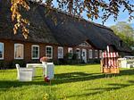 Hauptansicht - Ferienwohnung Ole - Reet und Erholung - Ringsberg bei Glücksburg - Top-Hundeurlaub