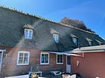 Hauptansicht - Ferienwohnung Ole - Reet und Erholung - Ringsberg bei Glücksburg - Top-Hundeurlaub