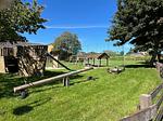Ferienwohnung Ole - Reet und Erholung - Ringsberg bei Glücksburg - Top-Hundeurlaub