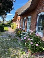 Hauptansicht - Ferienwohnung Ole - Reet und Erholung - Ringsberg bei Glücksburg - Top-Hundeurlaub